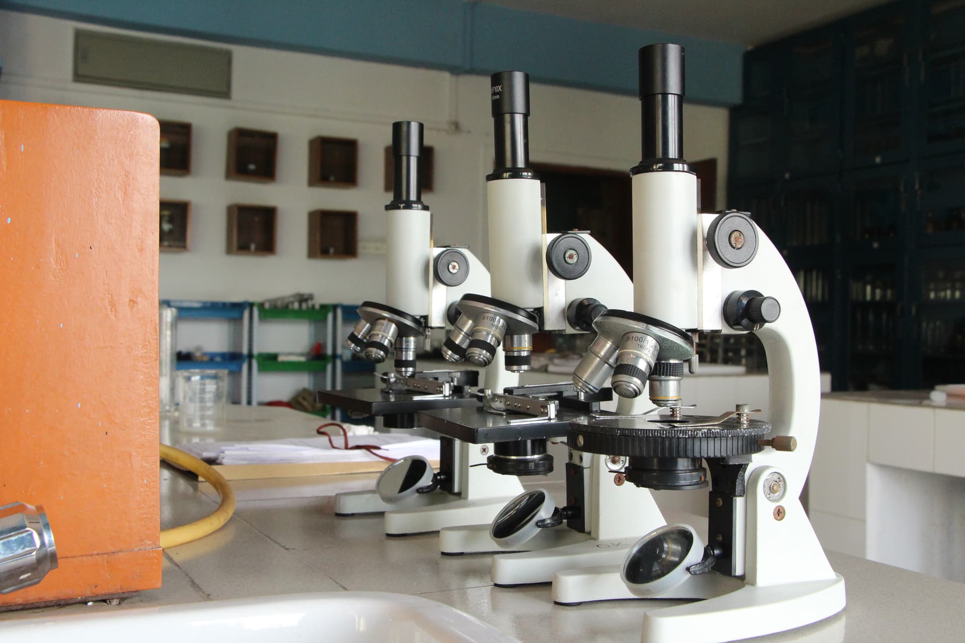Students actively participating in a music class, playing various instruments